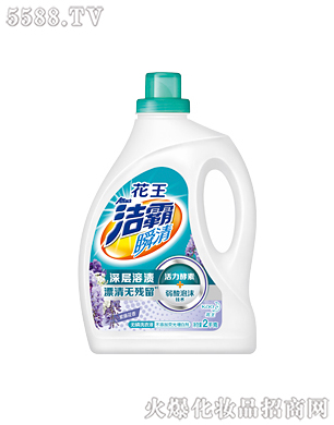 �Ϻ��������޹�˾������˲��o��ϴ��Һ�����ٻ��㣩2kg