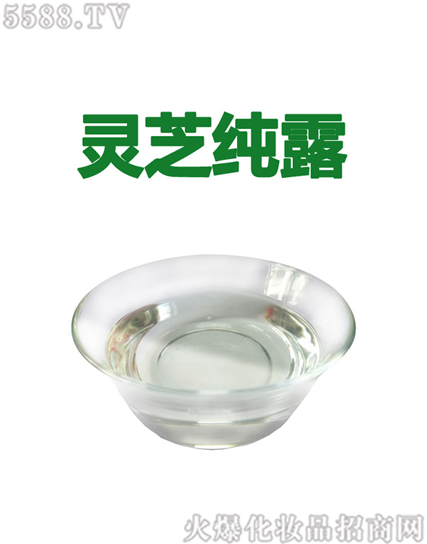 �V�ݰ��������Ƽ����޹�˾��������`֥��¶