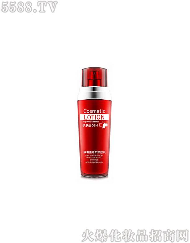 �V�|���݌��I(y��)���޹�˾�����������o���w��