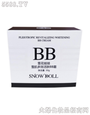 �V��ܰ�]������Ƽ����޹�˾��ѩ������ѩ����Ч���wBB˪