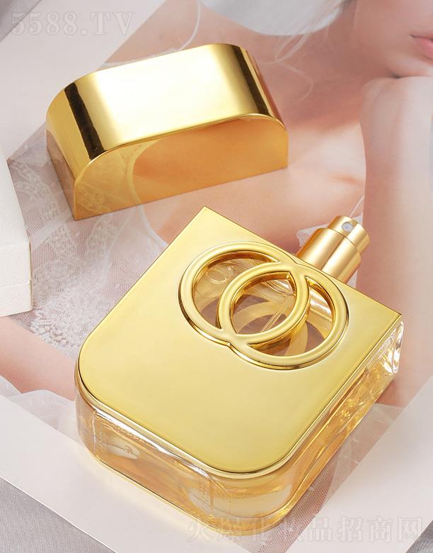 �x�����������yƷ���޹�˾�����Ƽ{������������ˮ