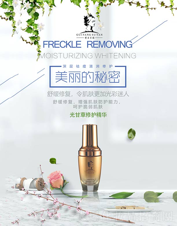 �V�ݼ��|����Ƽ����޹�˾���F�����ʲ����o���A