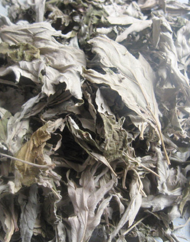 �����������Ʒ���޹�˾���������r���� 500g