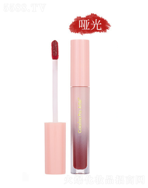 �㽭�����Ƽ����޹�˾��ܽ���{8ɫ����-��tɫ