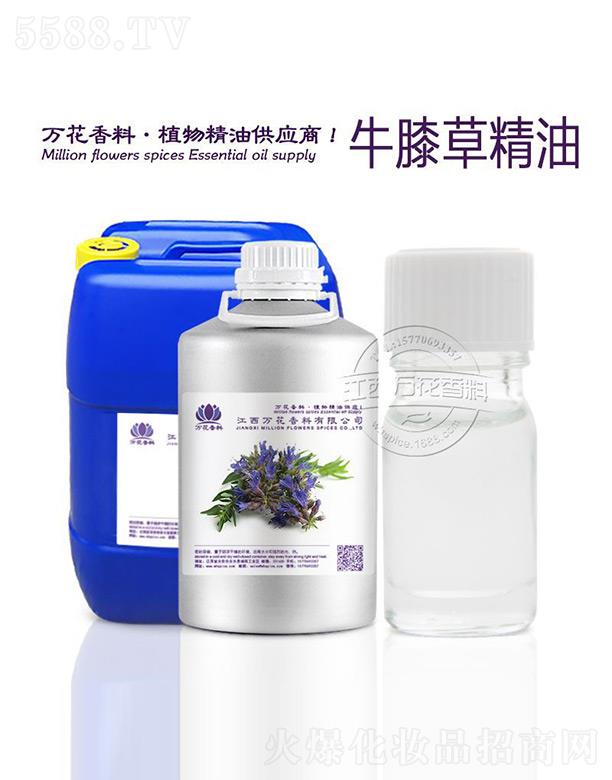 �����f(w��n)���������޹�˾���f(w��n)��ţϥ�ݾ���