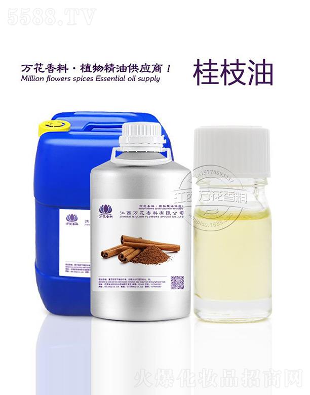 �����f(w��n)���������޹�˾���f(w��n)����֦��