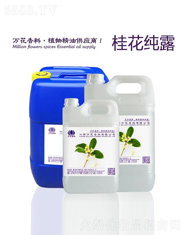 �����f(w��n)���������޹�˾���f(w��n)���𻨼�¶