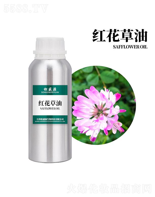 ������ʢԴ����Ƽ����޹�˾����ʢԴ�t������