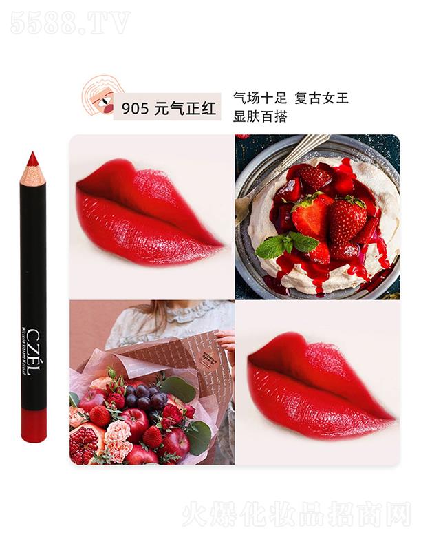 �㽭���`�Pˢ���޹�˾��CZEL��˽q�F΢�񴽾��P905Ԫ?d��)����t