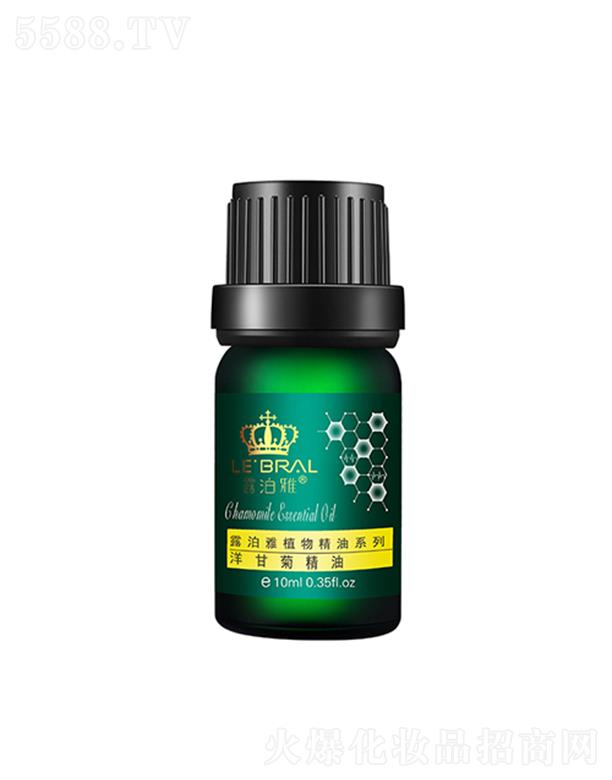 �V���лݷ��ջ����޹�˾��¶������ʾվ���