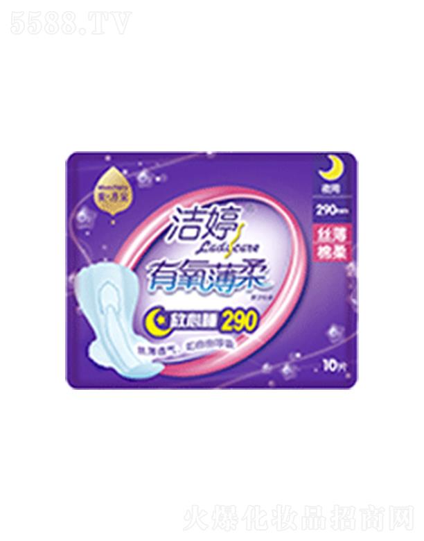 �����z���ɷ����޹�˾��������������-ҹ��290