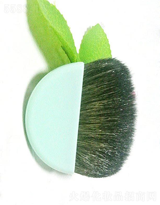 �����ЅR���_(d��)���yˢ���޹�˾���R���_(d��)���G���t�ⴽˢ