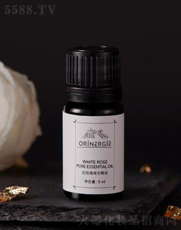 �W��{�������ڣ����ݿƼ����޹�˾��ORiNERGiE��õ��η�����