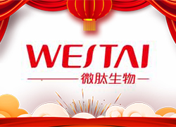 �����͸����_(k��i)�T(m��n)�����V��΢�Ľo�������ˣ�