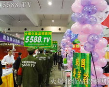 ����������ֱǰ