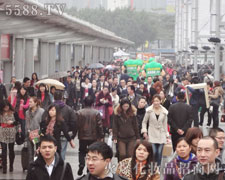 �𱬾W(w��ng)��η���y��Ŭ����ǰ