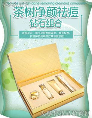 �C��ѩ�w�������@ʯ�M���ļ���