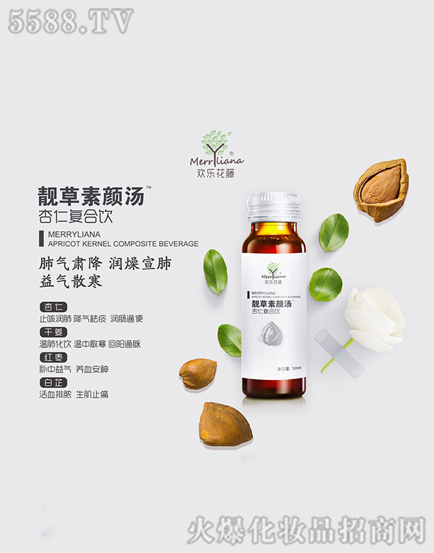 �g��(l��)�����n��������ʏ�(f��)���