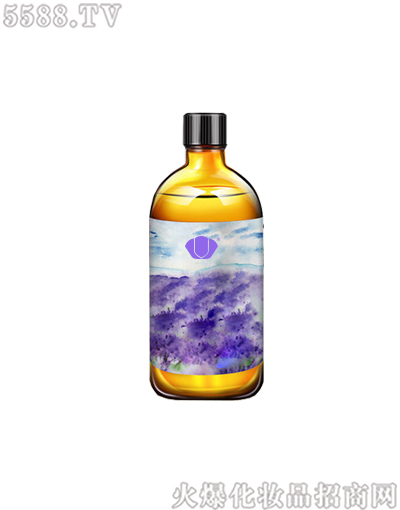 �������w�����N�ƴ��ӹ�