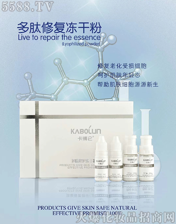 �����������ޏ�(f��)���ɷ�