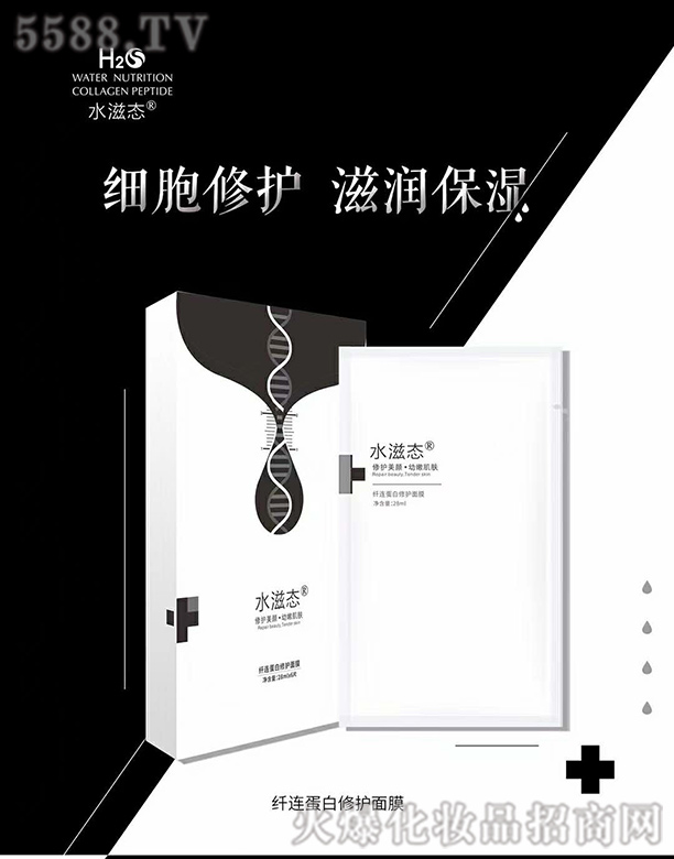 ˮ�̑B(t��i)�w�B�������o(h��)��Ĥ