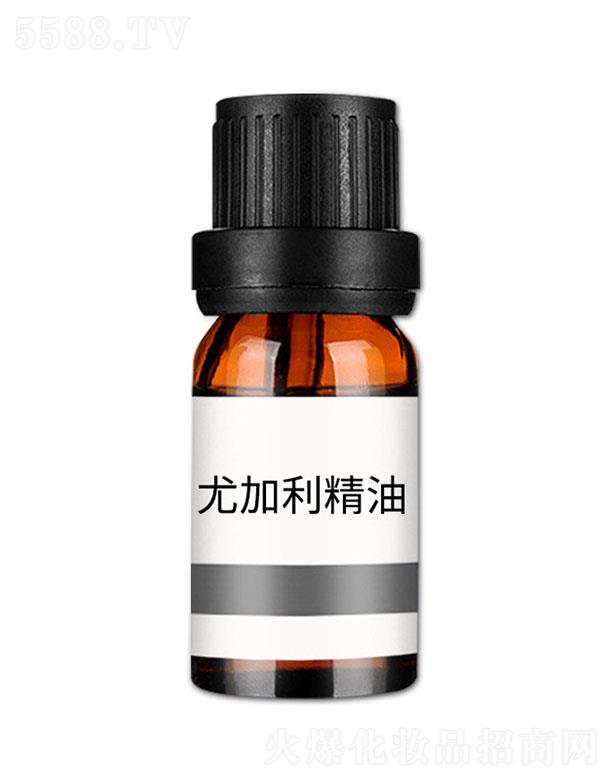 ���n�ȼ�������