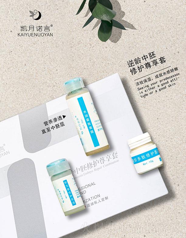 �P���Z�����g�������o(h��)��