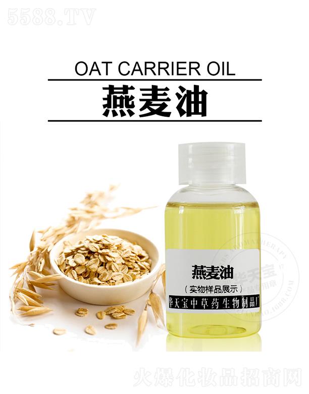 �A�쌚������