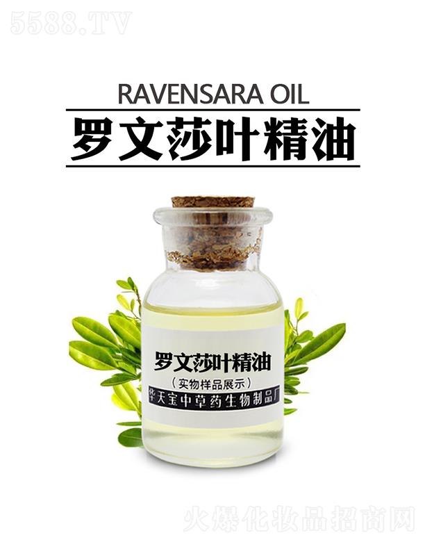 �A�쌚�_��ɯ�~����