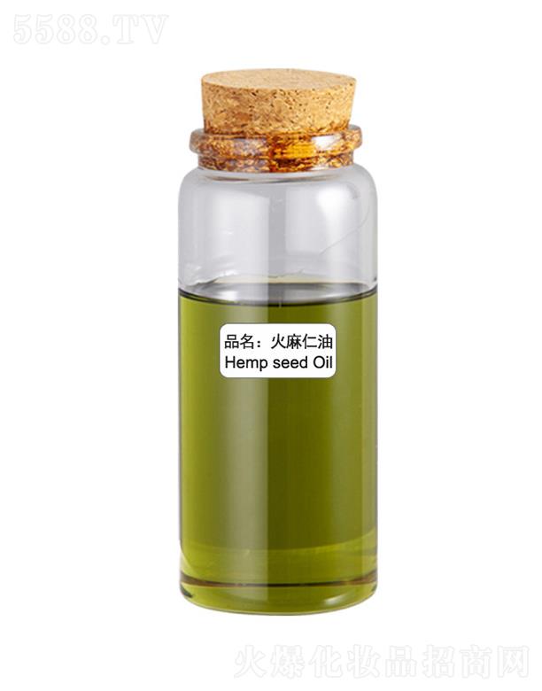 ɭ����������