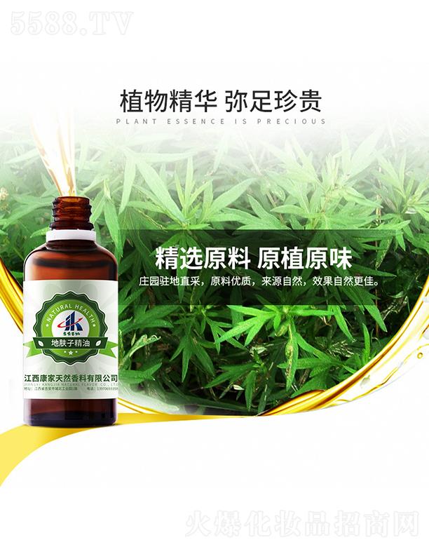 ���ұ��ݵ��w�Ӿ���