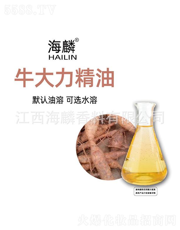 ����ţ��������