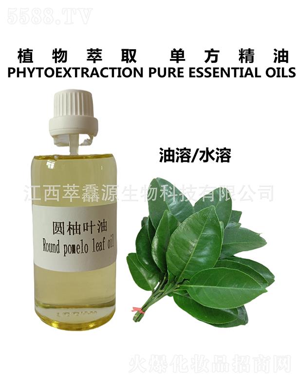 ���QԴ�A���~��