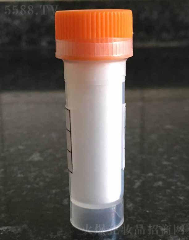 ����-1/��Ƥ��������