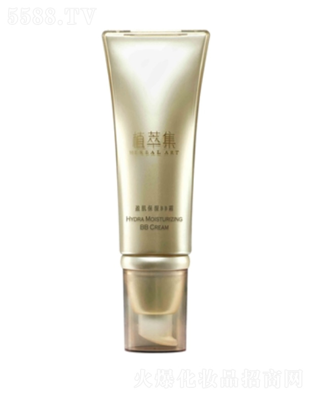 ӯ������BB˪