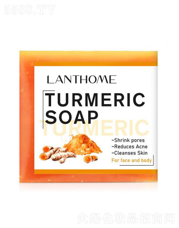 �V����������  ɏ��Ȫ���S��  100g   ���w�坍