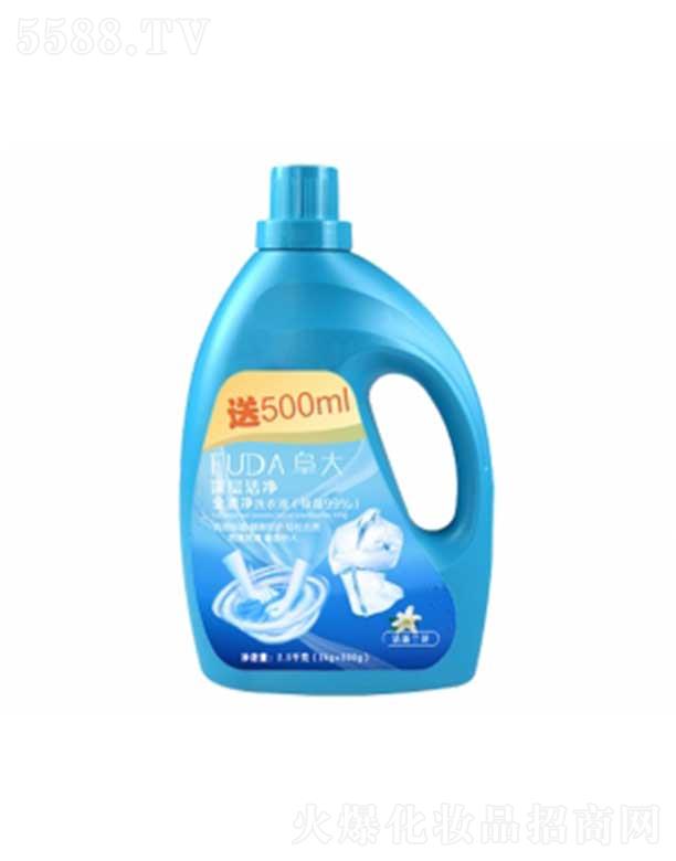 ������ӝ���ȫ�n��ϴ��Һ(2.5kg)