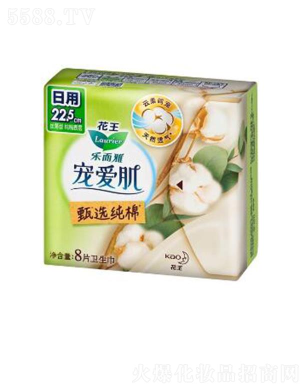 �����Ō��ۼ����x���޽z����22.5cm��8p��ס������ܛ