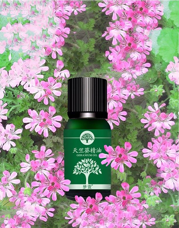 ���ÿ����� ƽ�⼡�w