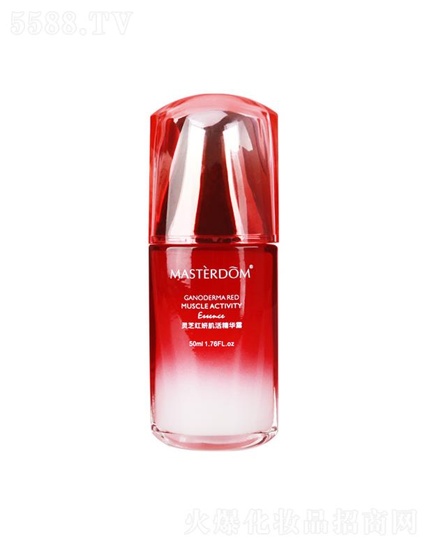 MASTERDOM�`֥�t�м���AҺ  ���o(h��)���w   ��������