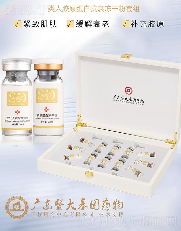 Ԋ�S�{������zԭ���׿�˥���ɷ��׽M ����˥���a���zԭ