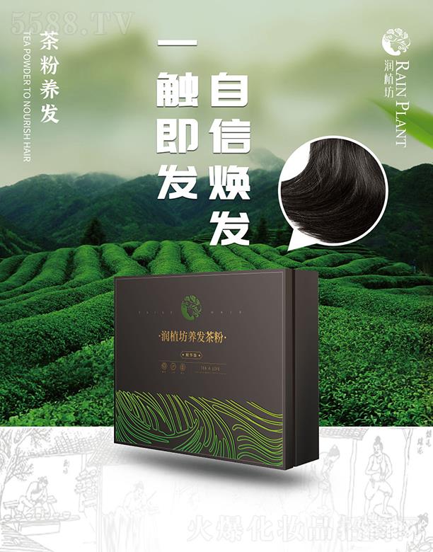 ��ֲ���B(y��ng)�l(f��)���