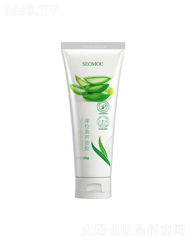 ʩ�ˎ������J�C�z120g