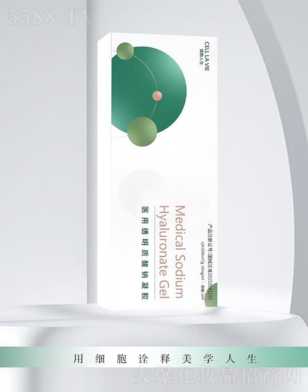 ���������t(y��)��͸���|(zh��)���c���z