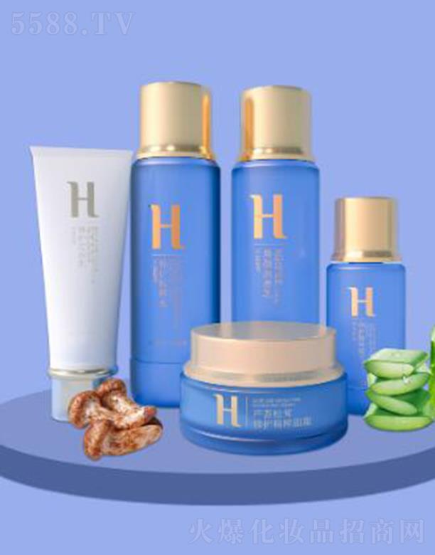 ���w������ϵ��