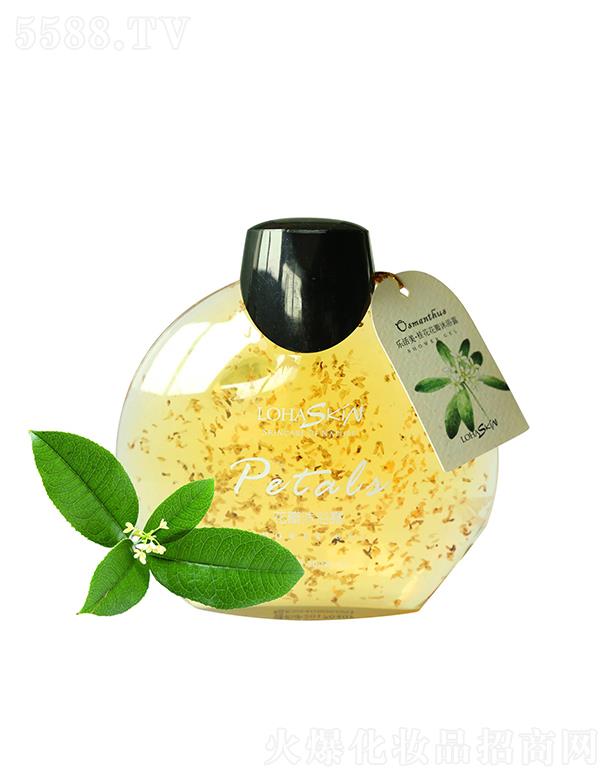 ������ԡ¶���𻨣�