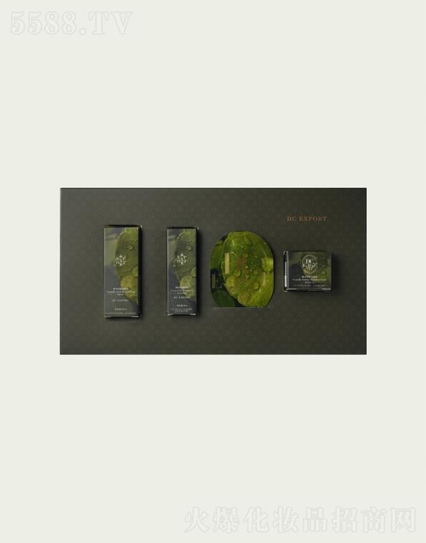 ���˰�������Ƽ����޹�˾��DC EXPORT�eѩ����Y�b