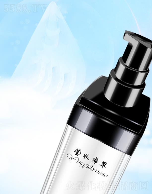 ���w�����݌��������A��