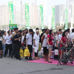 2019�������I(y��)���[��(hu��)���𱬾W(w��ng)�F(tu��n)�(du��)����������