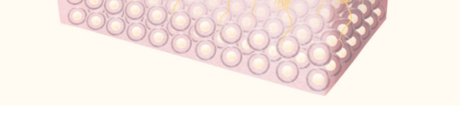 �����p���������x���o(h��)��